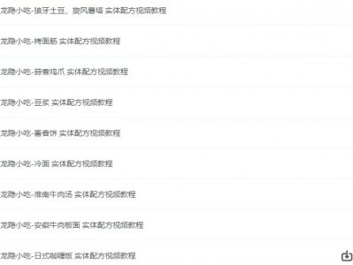 《龙隐小吃街小吃教程大全》[视频教学美食做法][56.8GB][价值上千]