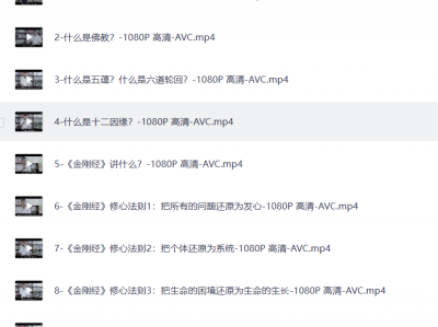 B站付费课程 费勇讲《金刚经》
